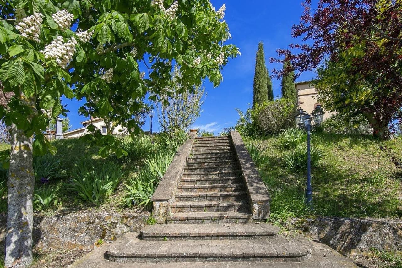 Alte Steintreppe im Garten unter Bäumen